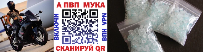 Alfa_PVP СК Мариинский Посад