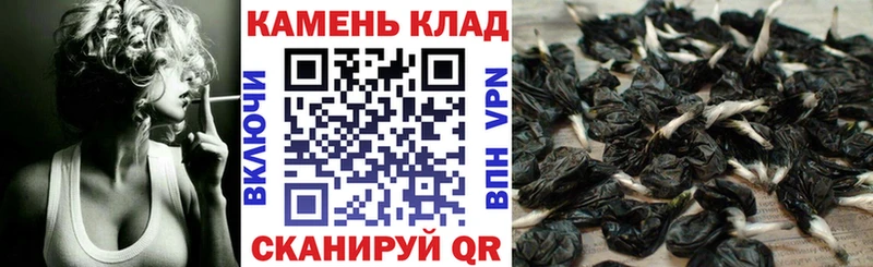 Гашиш гарик  гидра вход  Мариинский Посад  купить  