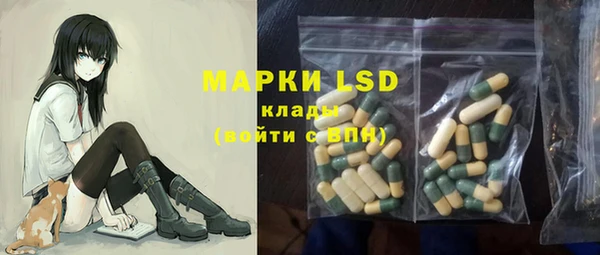 спайс Баксан
